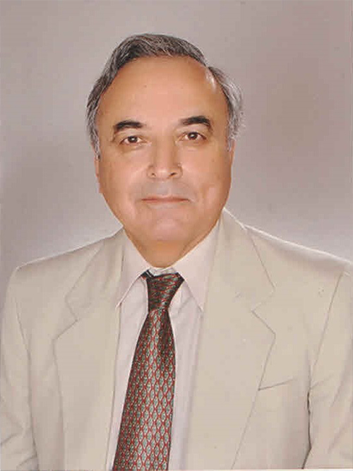 Alev Kılıç