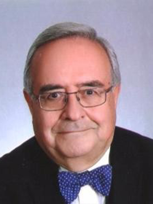 Prof. Dr. Ali Engin OBA