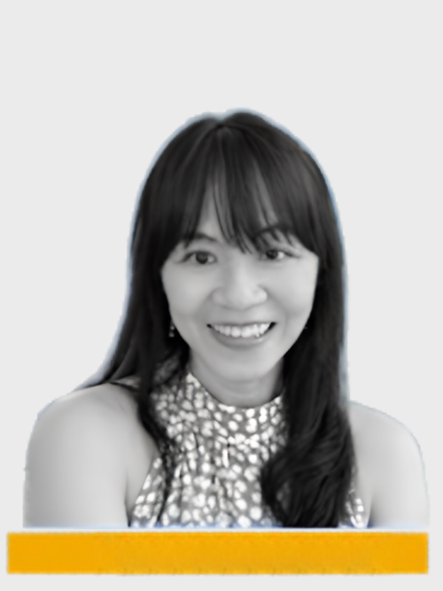 Prof. Yalan Chang